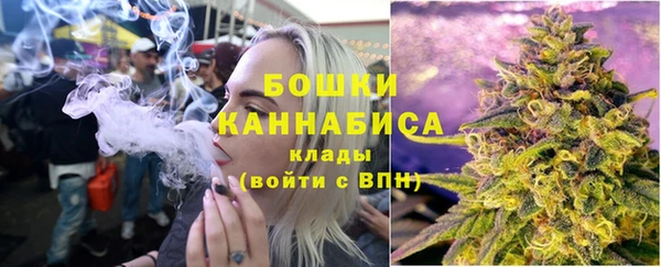 амф Каменногорск
