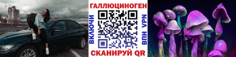 Купить где  Назрань  Псилоцибиновые грибы GOLDEN TEACHER 